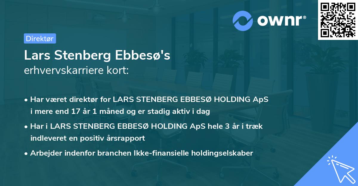 Lars Stenberg Ebbesø's erhvervskarriere kort