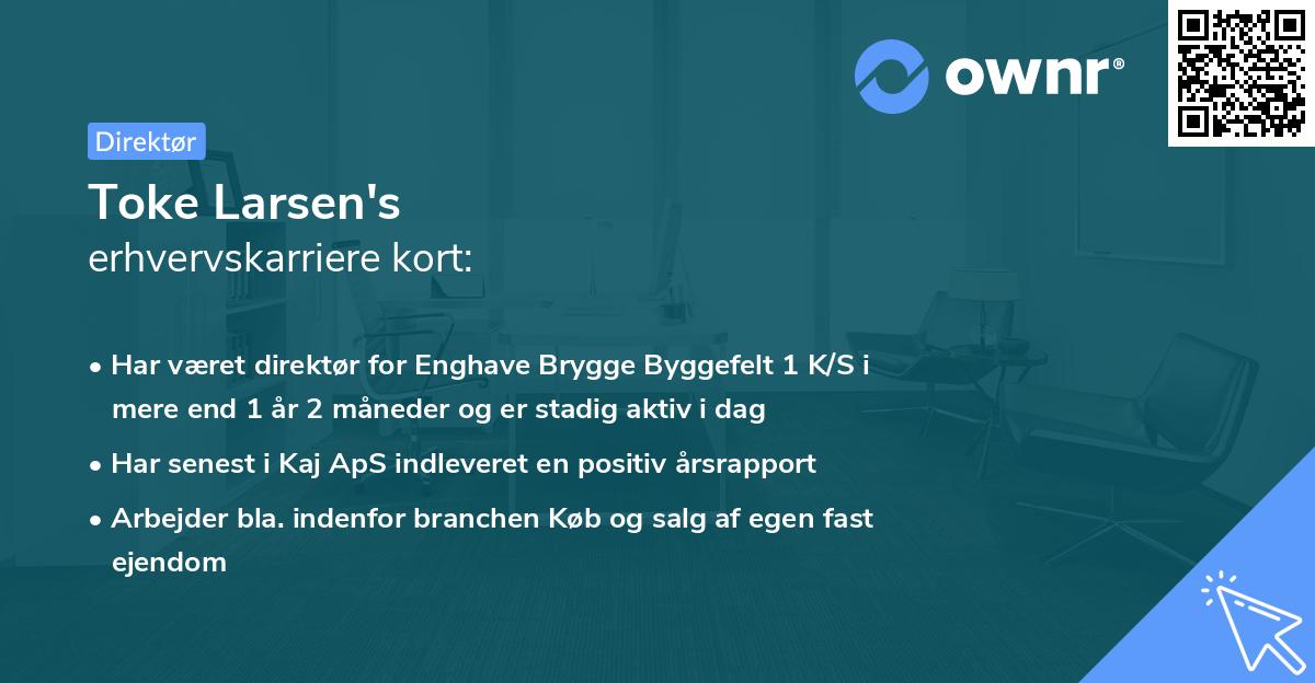 Toke Larsen's erhvervskarriere kort