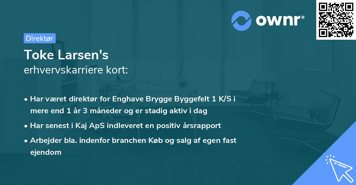 Toke Larsen's erhvervskarriere kort