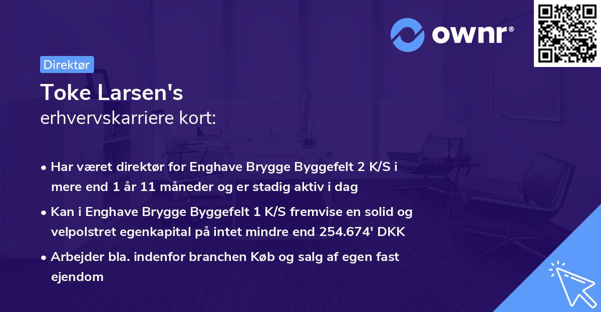 Toke Larsen's erhvervskarriere kort