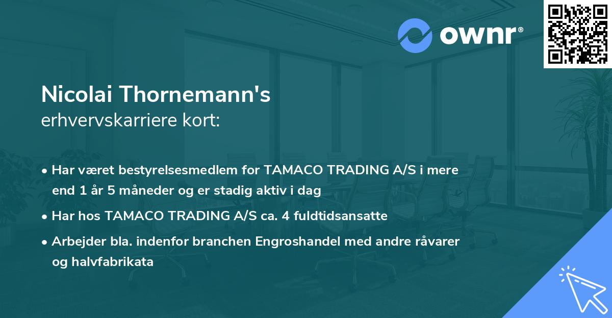 Nicolai Thornemann's erhvervskarriere kort