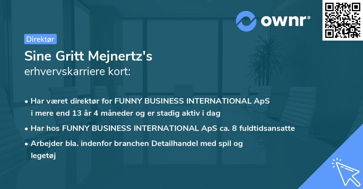 Sine Gritt Mejnertz's erhvervskarriere kort