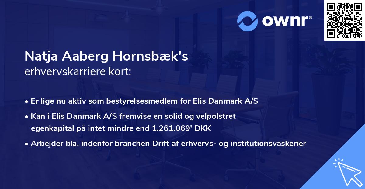 Natja Aaberg Hornsbæk's erhvervskarriere kort