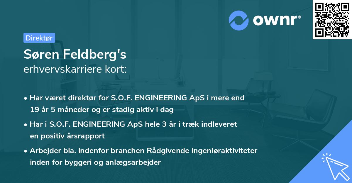 Søren Feldberg's erhvervskarriere kort