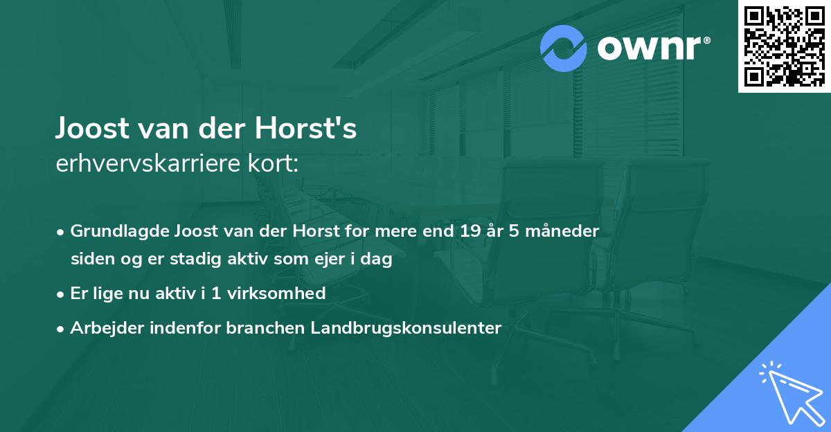 Joost van der Horst's erhvervskarriere kort