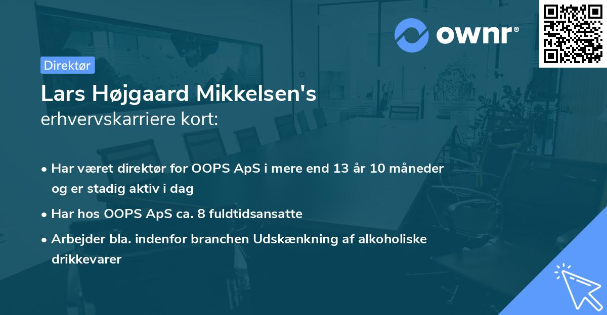 Lars Højgaard Mikkelsen's erhvervskarriere kort