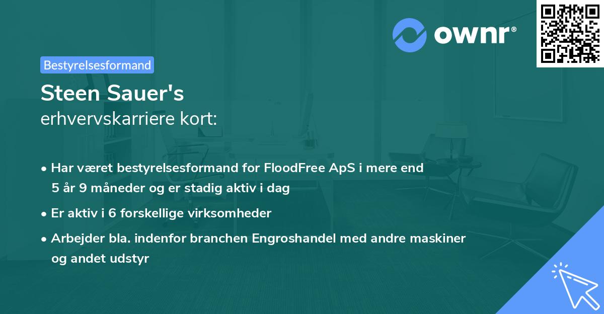 Steen Sauer's erhvervskarriere kort