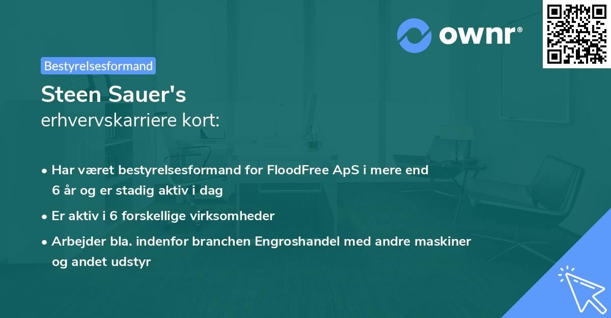 Steen Sauer's erhvervskarriere kort