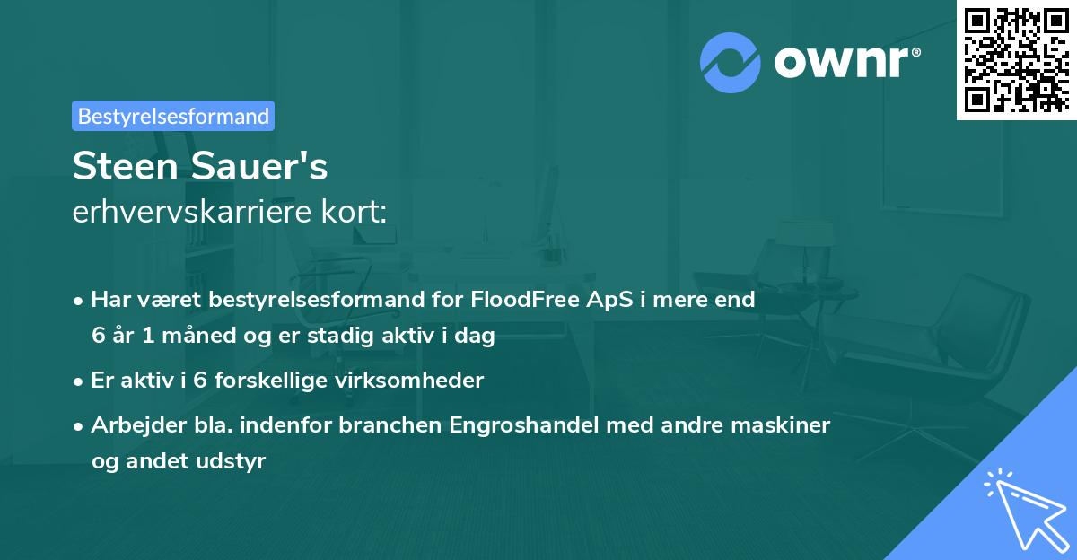 Steen Sauer's erhvervskarriere kort