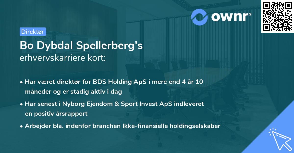 Bo Dybdal Spellerberg's erhvervskarriere kort