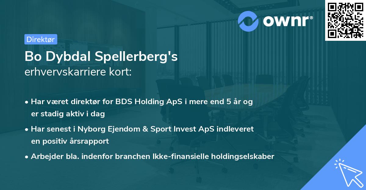 Bo Dybdal Spellerberg's erhvervskarriere kort