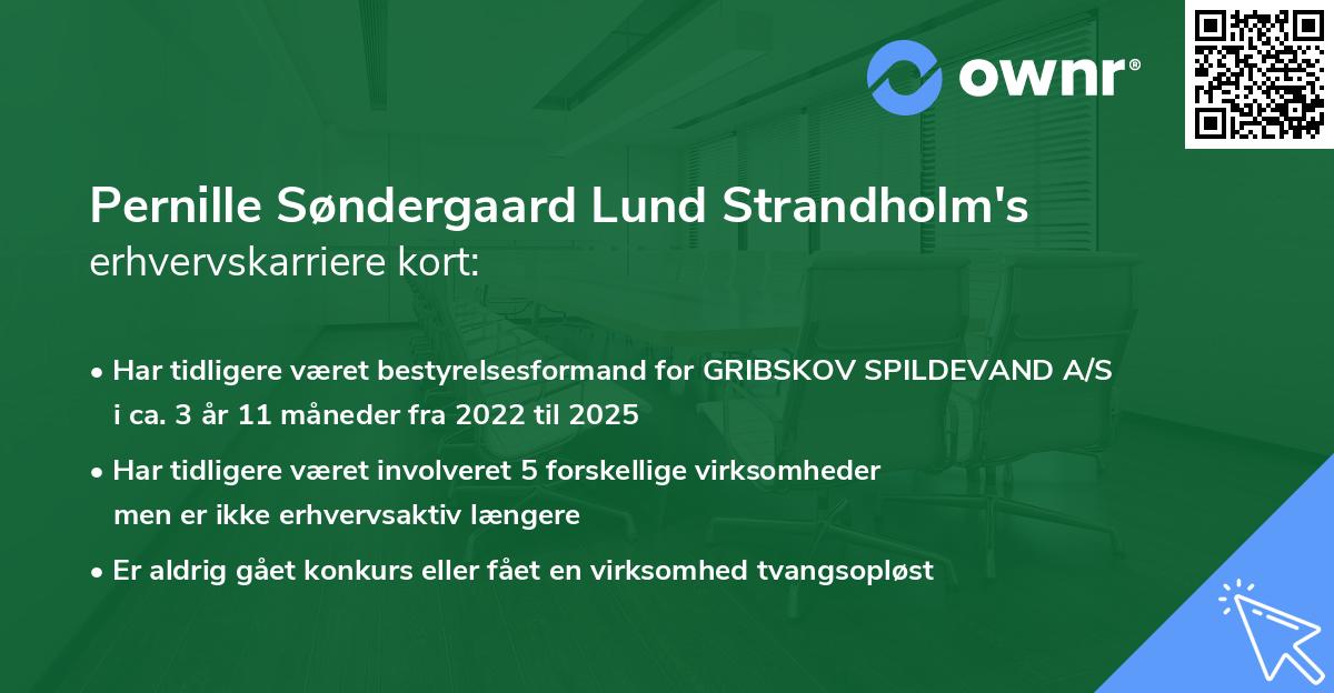 Pernille Søndergaard Lund Strandholm's erhvervskarriere kort