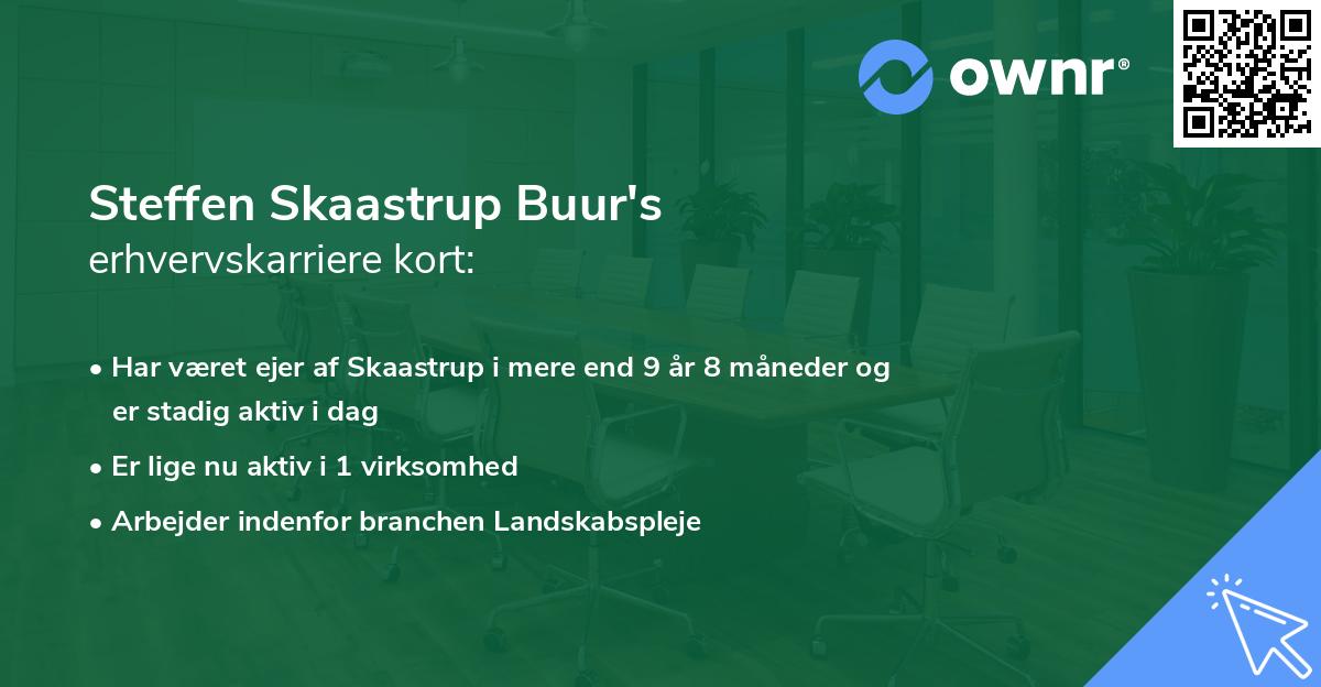 Steffen Skaastrup Buur's erhvervskarriere kort