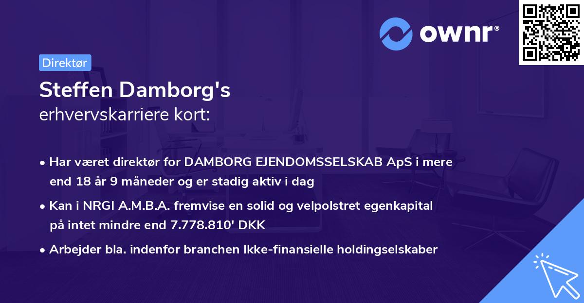 Steffen Damborg's erhvervskarriere kort