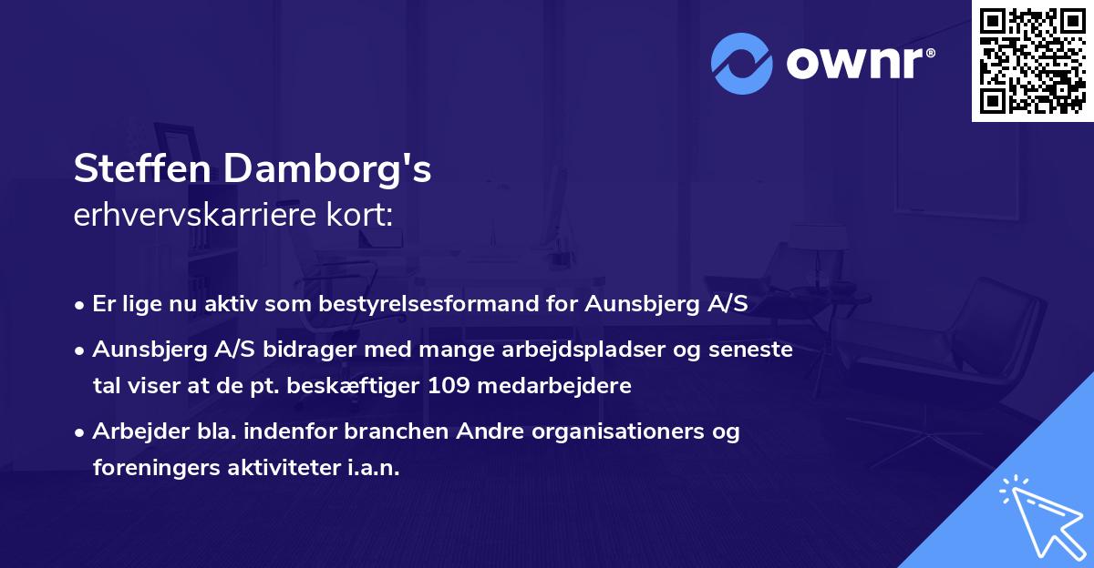 Steffen Damborg's erhvervskarriere kort