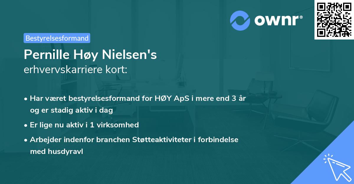 Pernille Høy Nielsen's erhvervskarriere kort