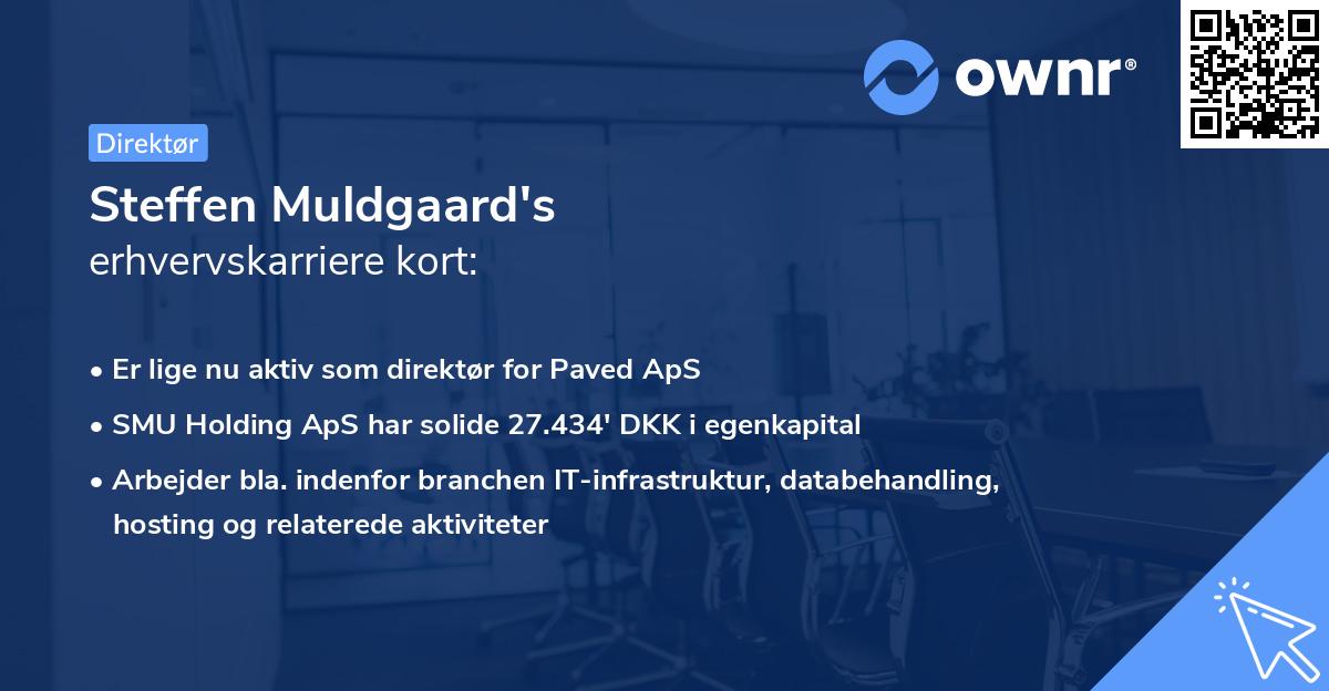 Steffen Muldgaard's erhvervskarriere kort