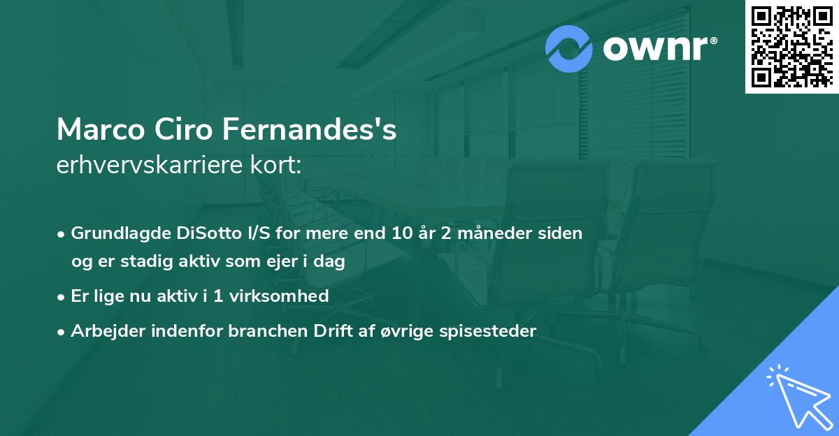 Marco Ciro Fernandes's erhvervskarriere kort