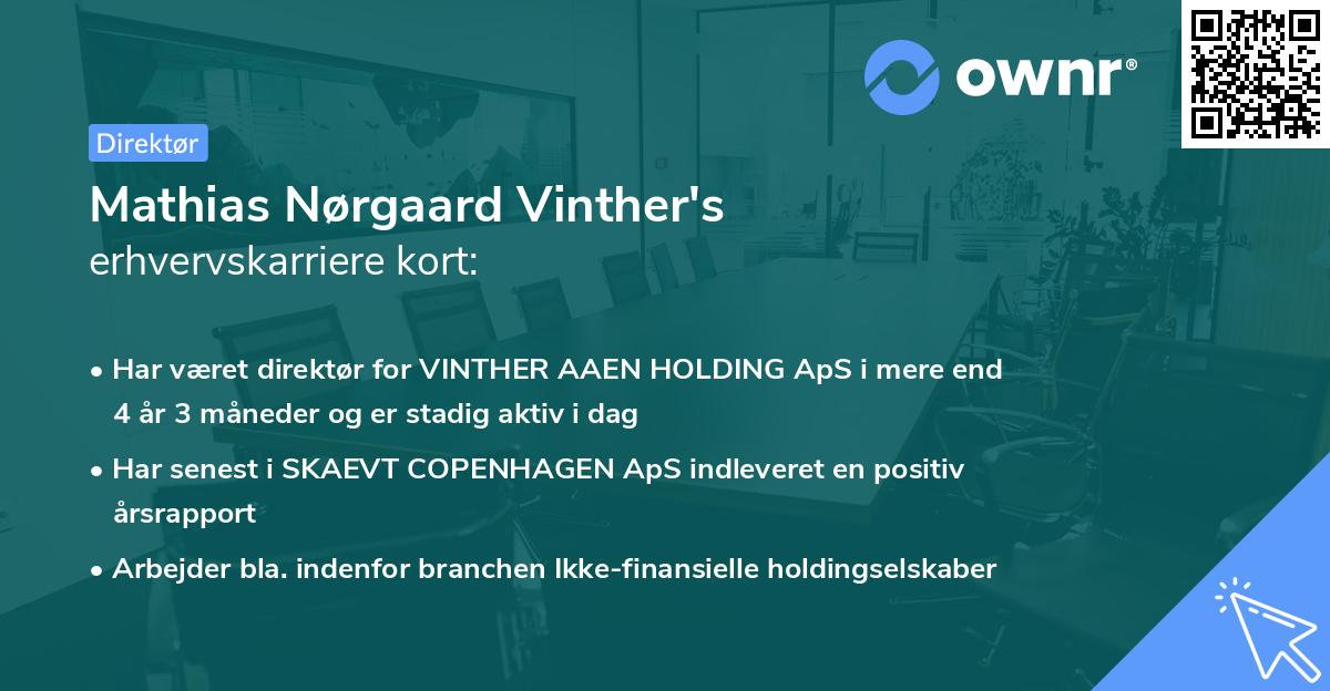 Mathias Nørgaard Vinther's erhvervskarriere kort