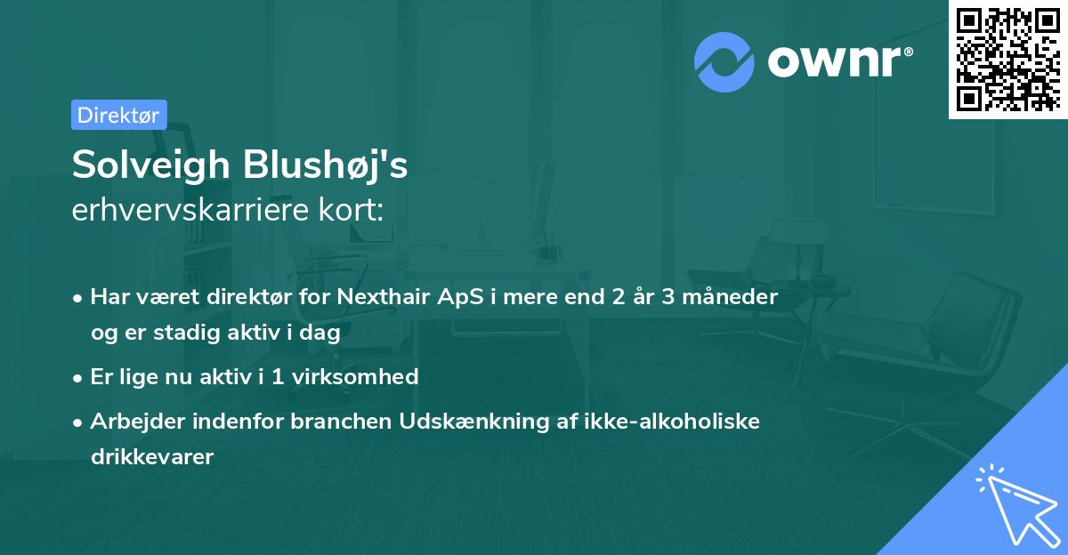 Solveigh Blushøj's erhvervskarriere kort