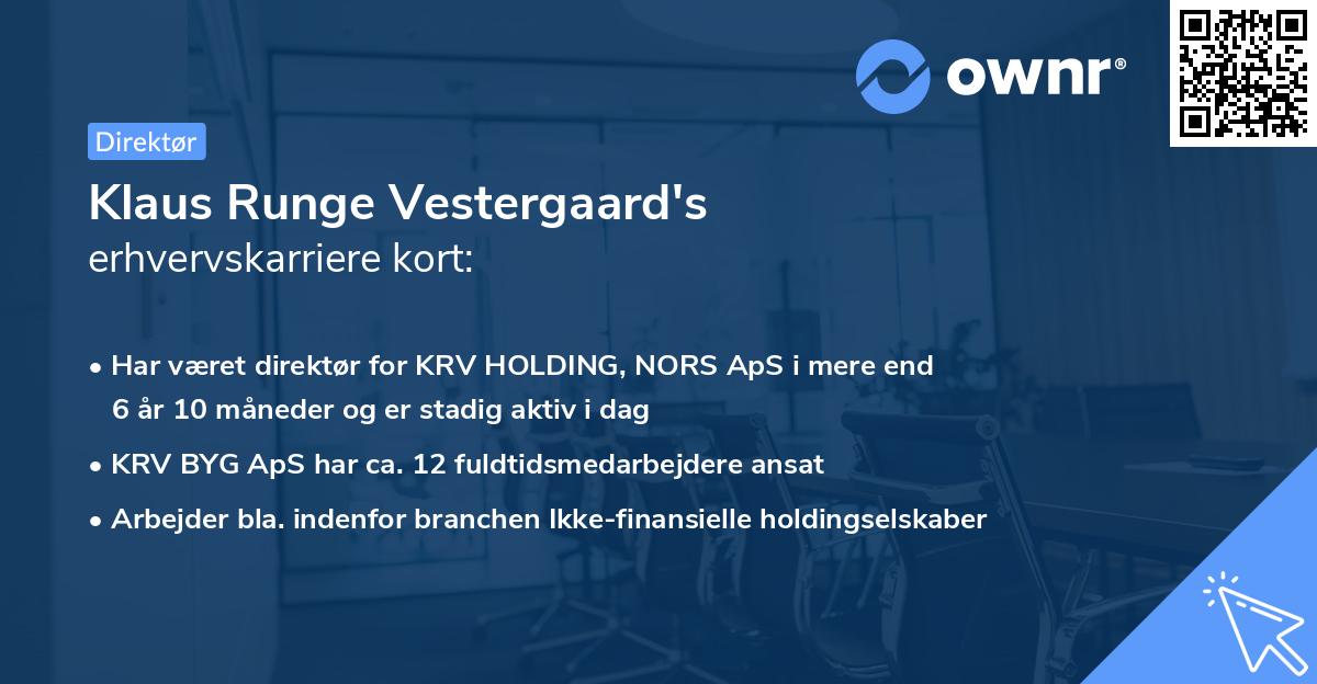 Klaus Runge Vestergaard's erhvervskarriere kort