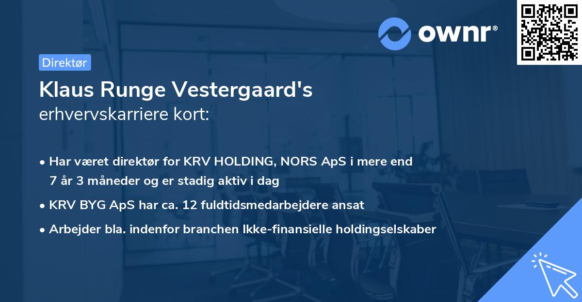 Klaus Runge Vestergaard's erhvervskarriere kort