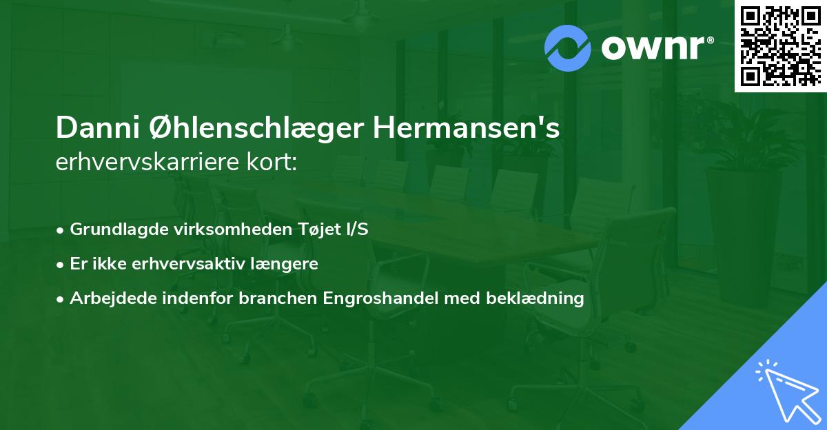 Danni Øhlenschlæger Hermansen's erhvervskarriere kort