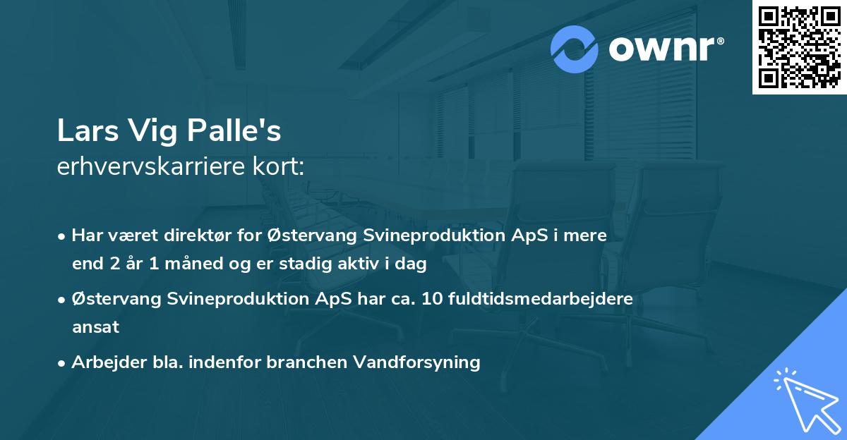Lars Vig Palle's erhvervskarriere kort