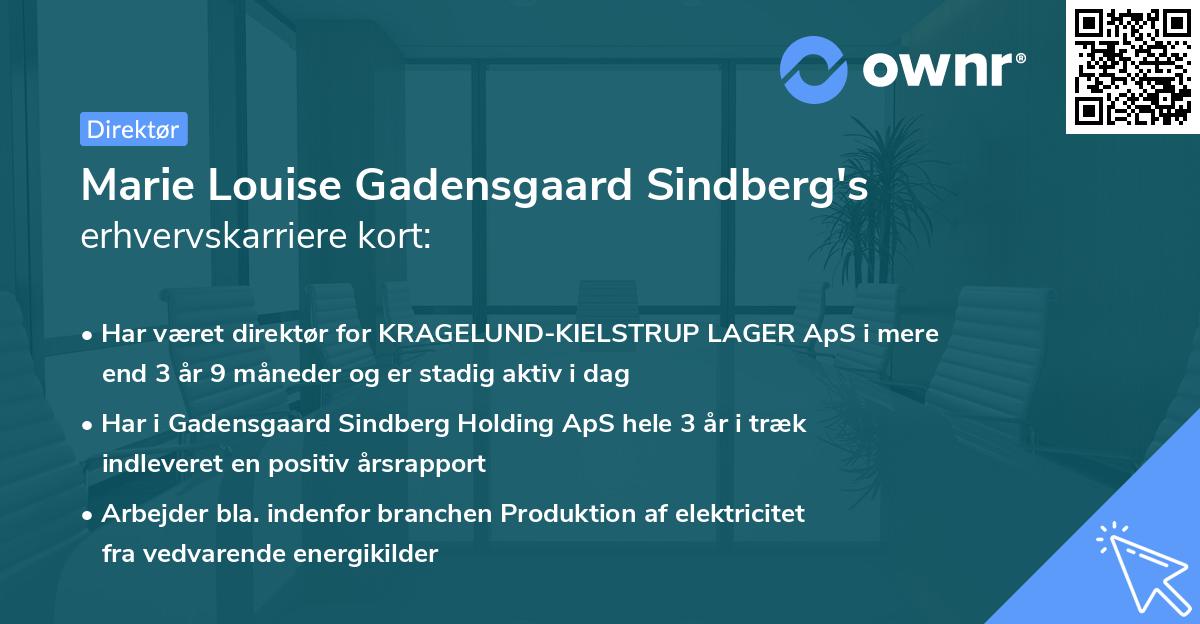 Marie Louise Gadensgaard Sindberg's erhvervskarriere kort