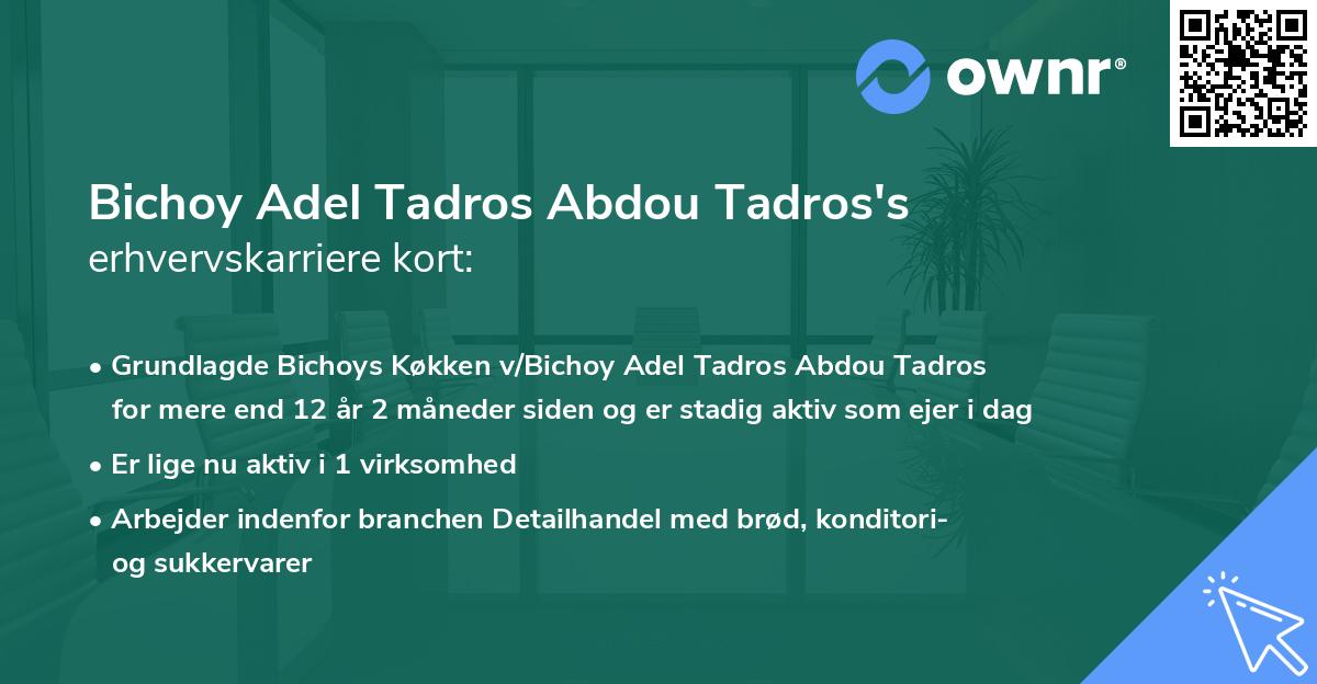 Bichoy Adel Tadros Abdou Tadros's erhvervskarriere kort