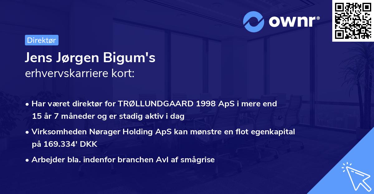 Jens Jørgen Bigum's erhvervskarriere kort