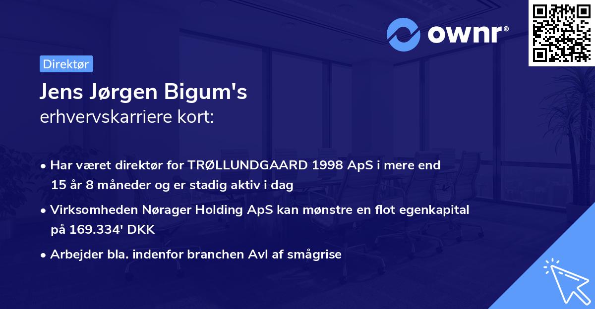 Jens Jørgen Bigum's erhvervskarriere kort