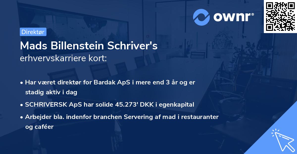 Mads Billenstein Schriver's erhvervskarriere kort