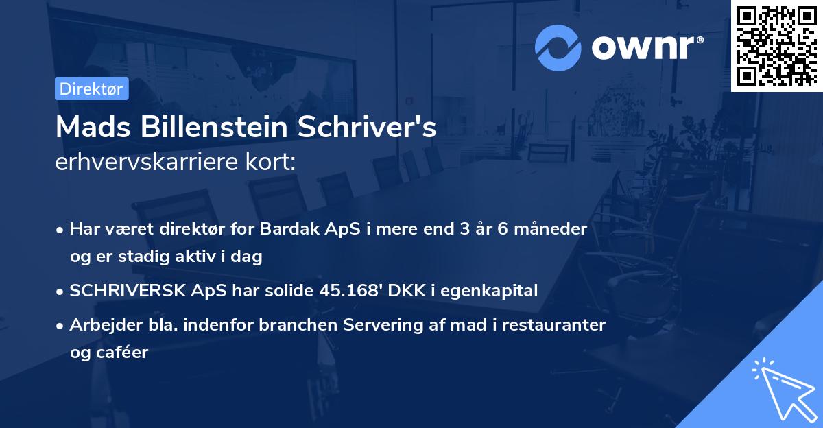 Mads Billenstein Schriver's erhvervskarriere kort