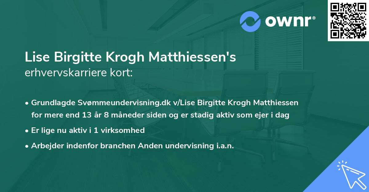 Lise Birgitte Krogh Matthiessen's erhvervskarriere kort