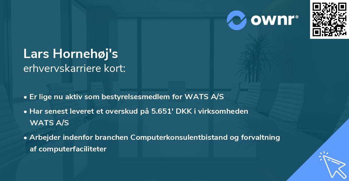 Lars Hornehøj's erhvervskarriere kort