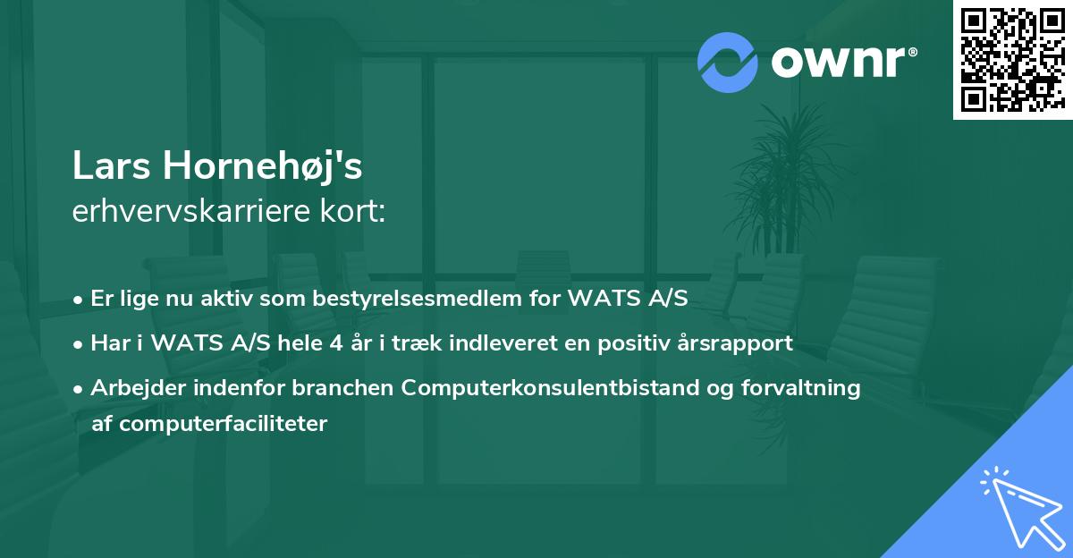 Lars Hornehøj's erhvervskarriere kort