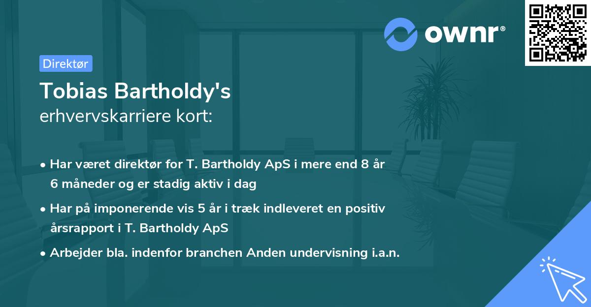 Tobias Bartholdy's erhvervskarriere kort