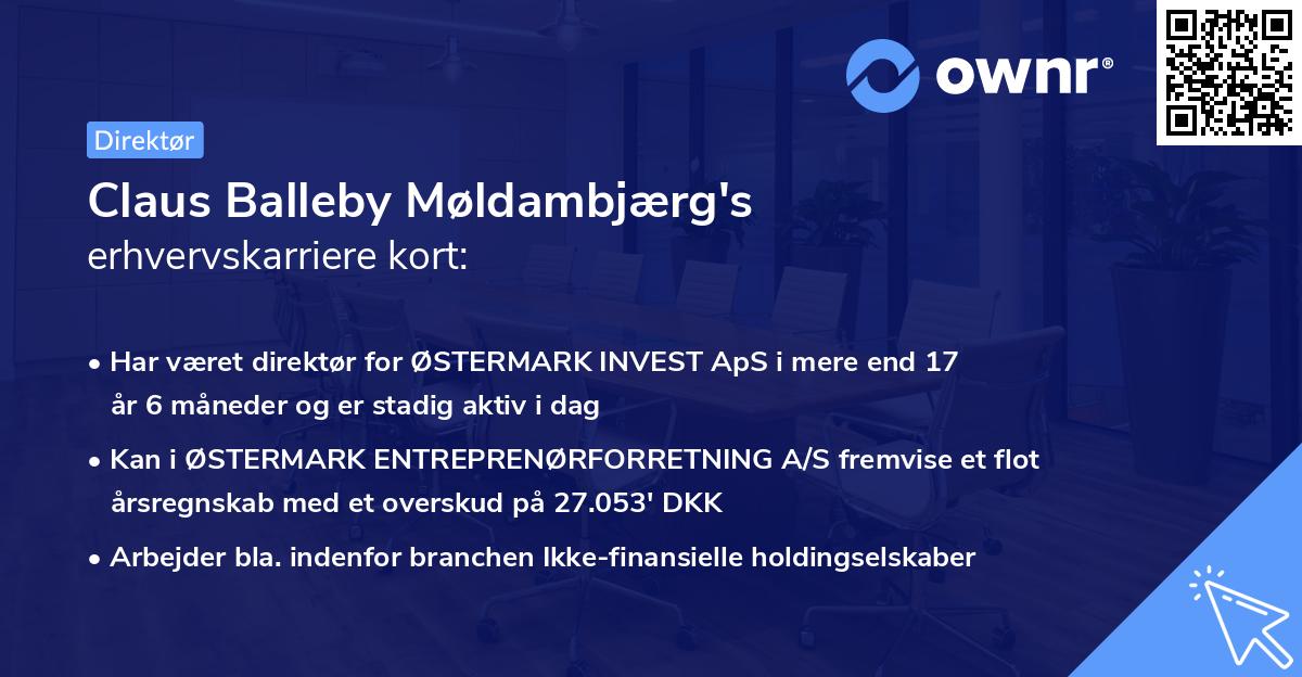 Claus Balleby Møldambjærg's erhvervskarriere kort