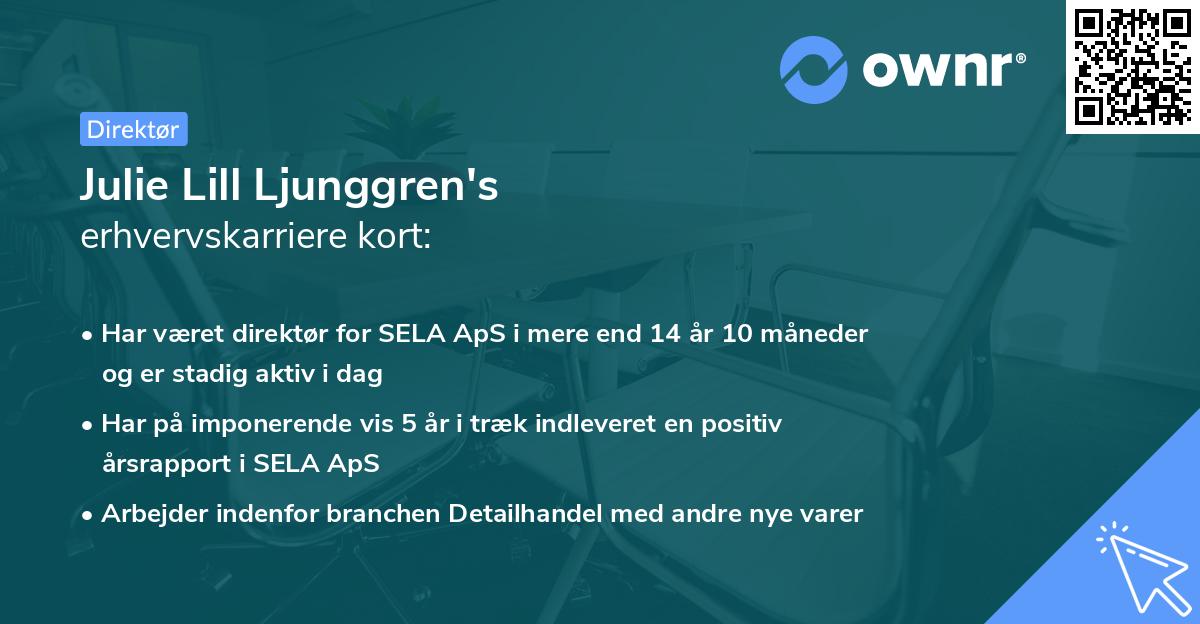 Julie Lill Ljunggren's erhvervskarriere kort