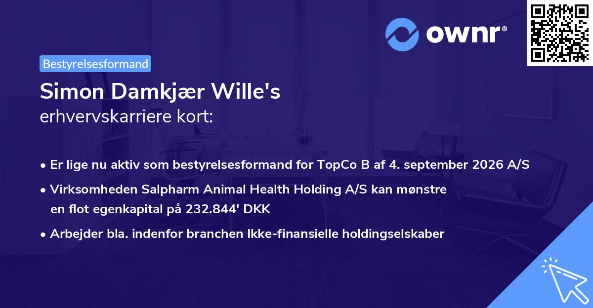 Simon Damkjær Wille's erhvervskarriere kort