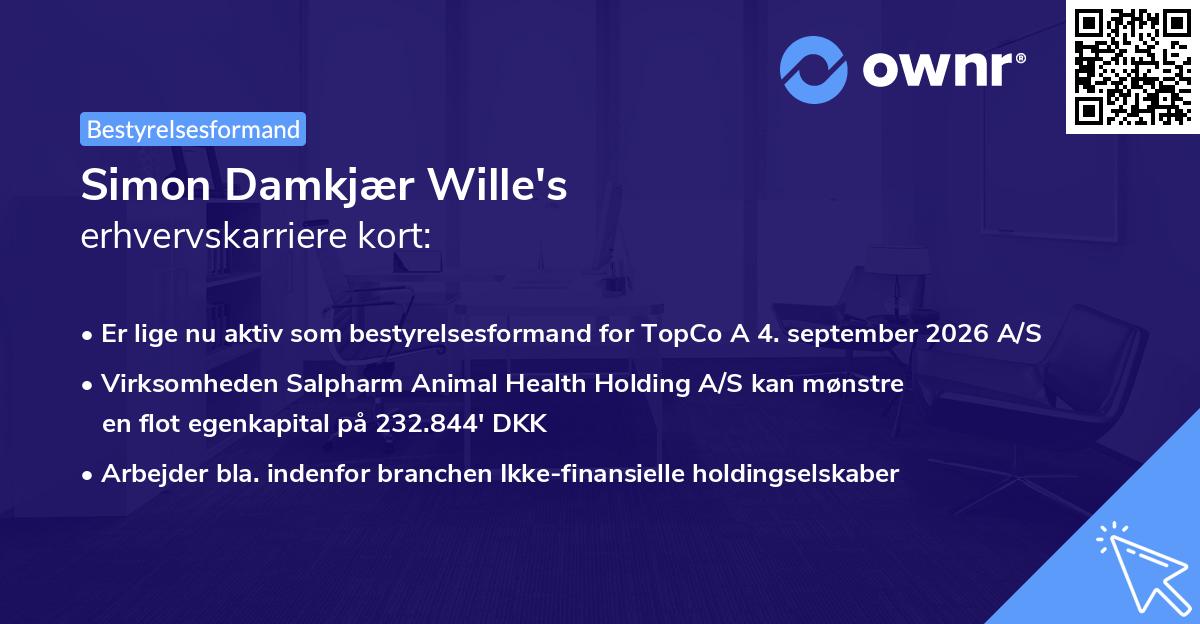Simon Damkjær Wille's erhvervskarriere kort