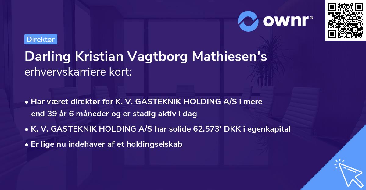 Darling Kristian Vagtborg Mathiesen's erhvervskarriere kort