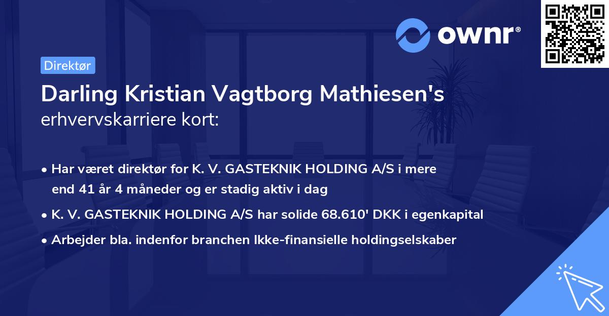 Darling Kristian Vagtborg Mathiesen's erhvervskarriere kort