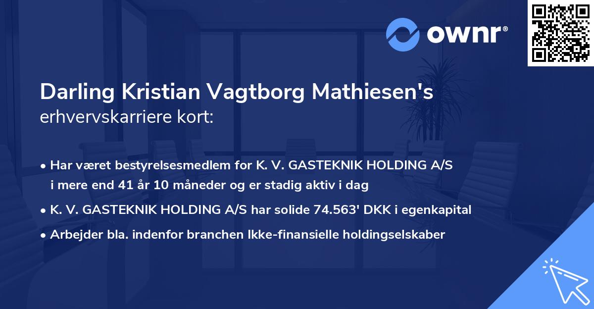 Darling Kristian Vagtborg Mathiesen's erhvervskarriere kort