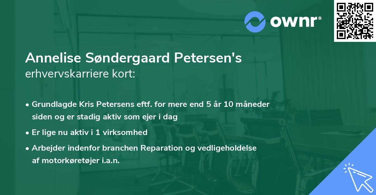 Annelise Søndergaard Petersen's erhvervskarriere kort