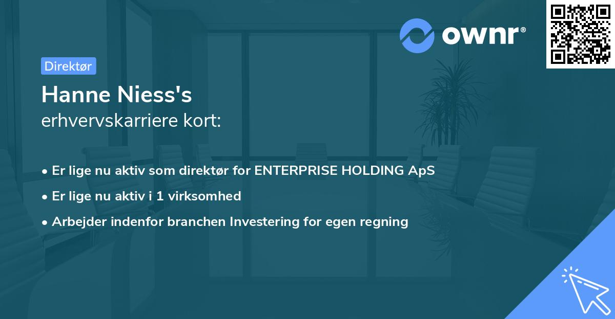 Hanne Niess's erhvervskarriere kort