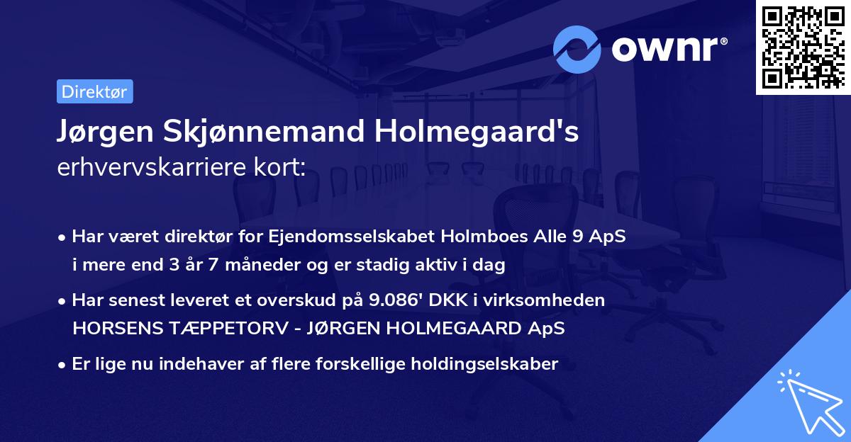 Jørgen Skjønnemand Holmegaard's erhvervskarriere kort