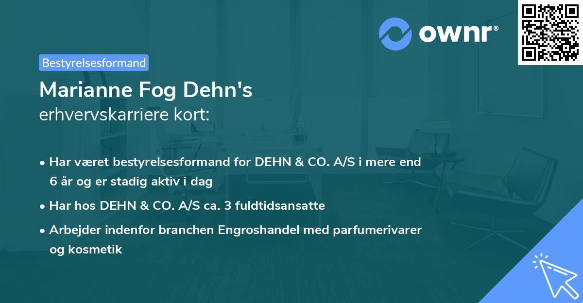 Marianne Fog Dehn's erhvervskarriere kort