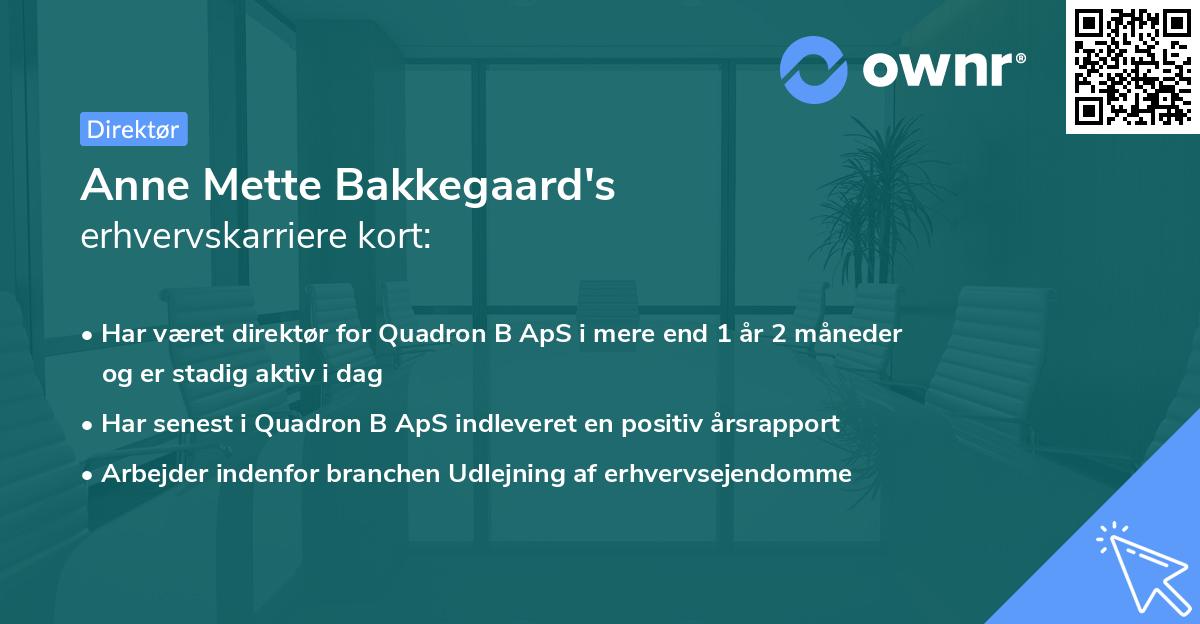 Anne Mette Bakkegaard's erhvervskarriere kort